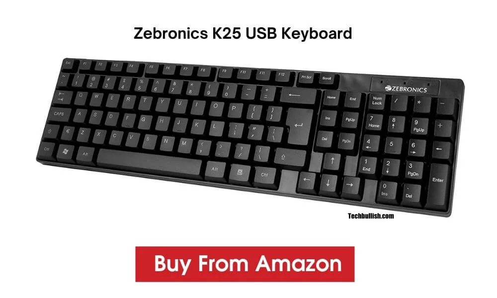 Zebronics K25 Keyboard