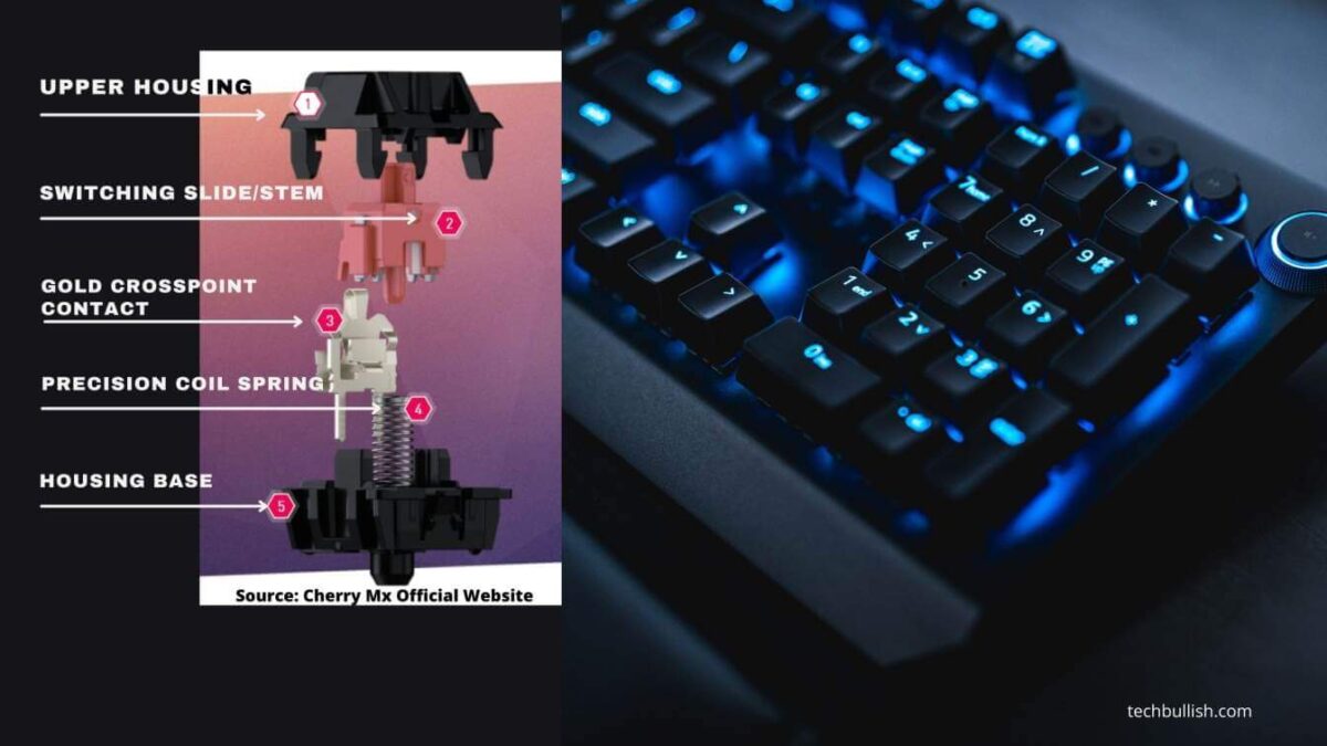 How Long Do Mechanical Keyboards Last? (Must KNOW!)