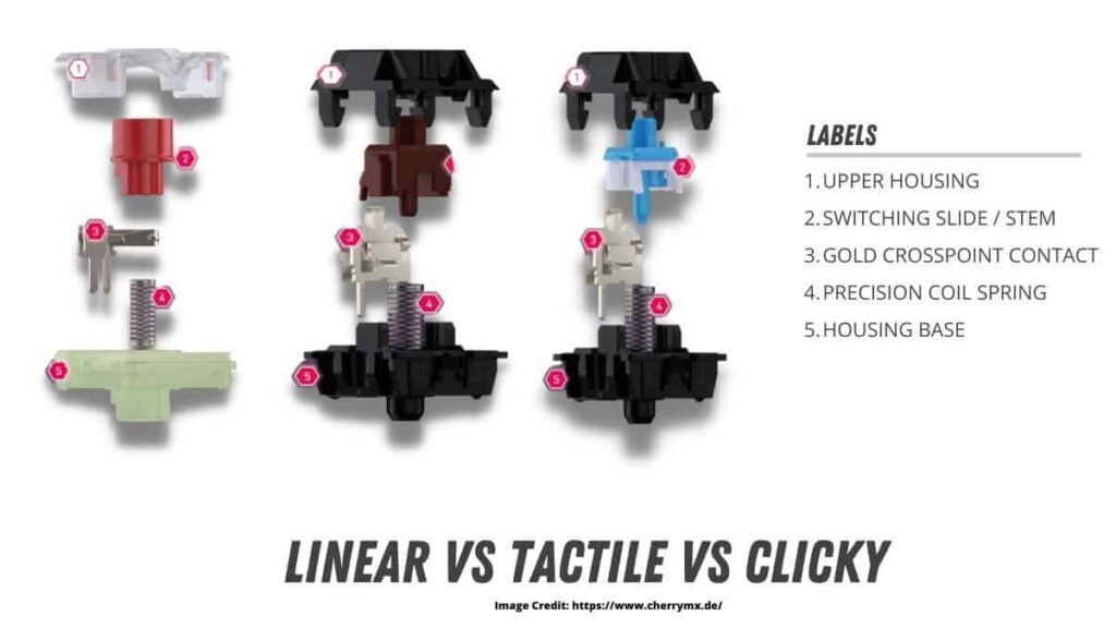 Linear vs Tactile vs Clicky Switches