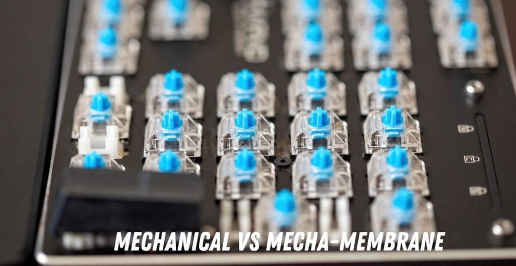 Mecha-Membrane VS Mechanical Keyboard