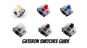 Gateron Switches