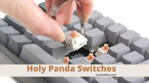 what are holy panda switches