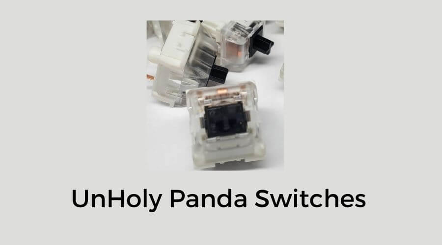 what are unholy panda switches