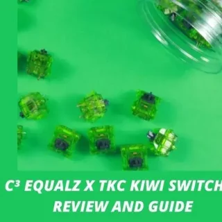 kiwi switches