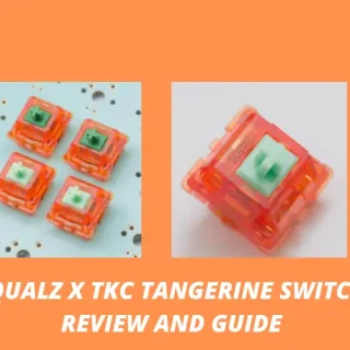 tangerine switches