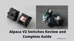 alpaca switches review
