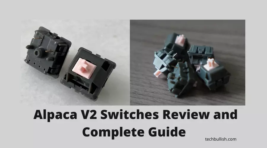 Image of alpaca switches V2
