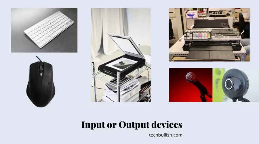 output or input devices