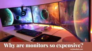 Why are monitors so expensive