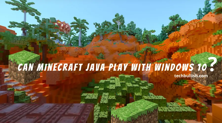 Can Minecraft Java play with Windows 10