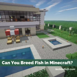 Can You Breed Fish in Minecraft
