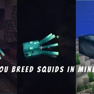 Can You Breed Squids in Minecraft