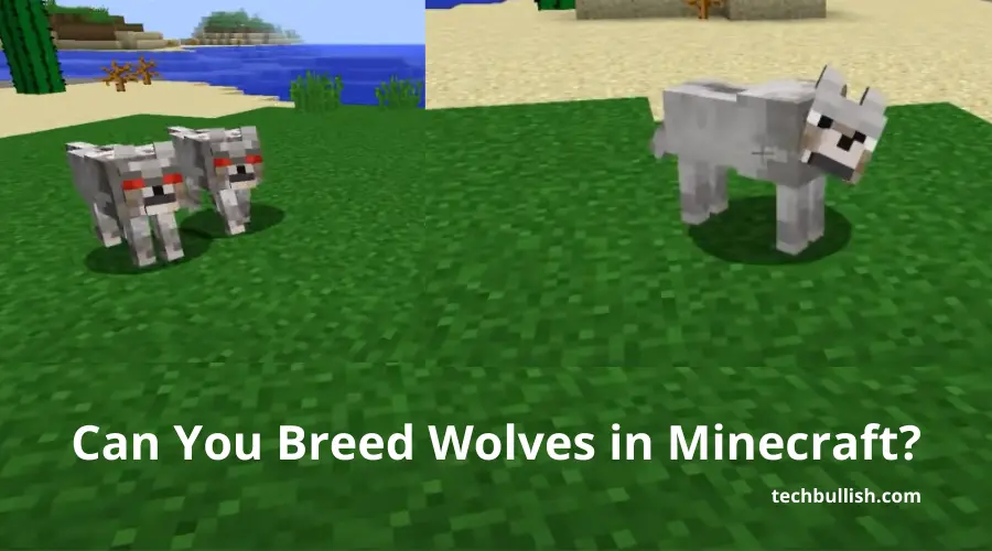 Can You Breed Wolves in Minecraft