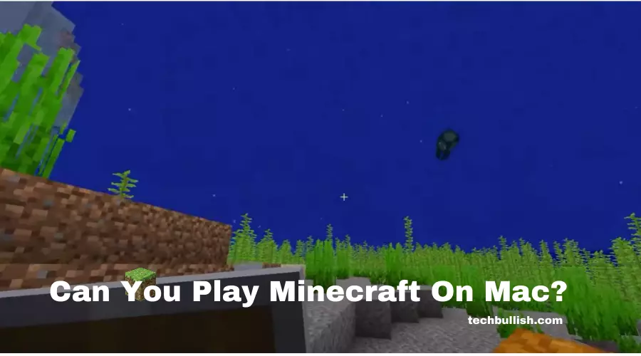 Can You Play Minecraft On Mac