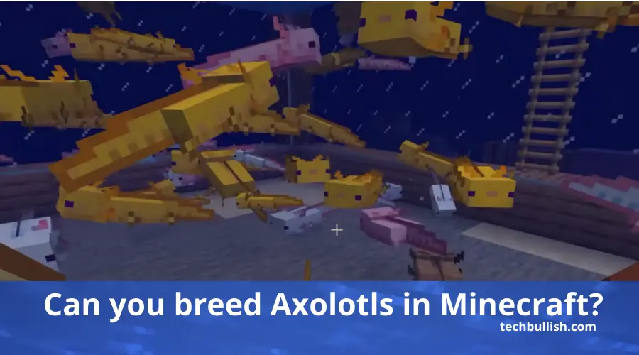 Blue axolotl minecraft