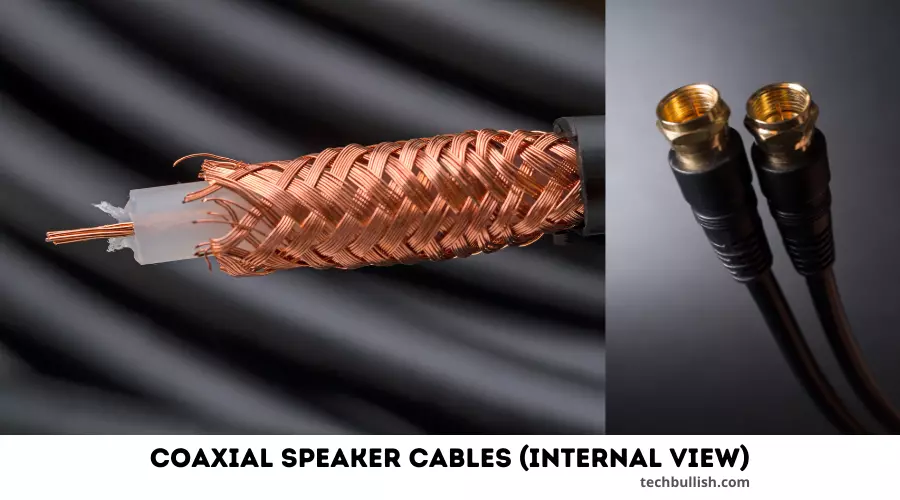 Coaxial Cable Internal View