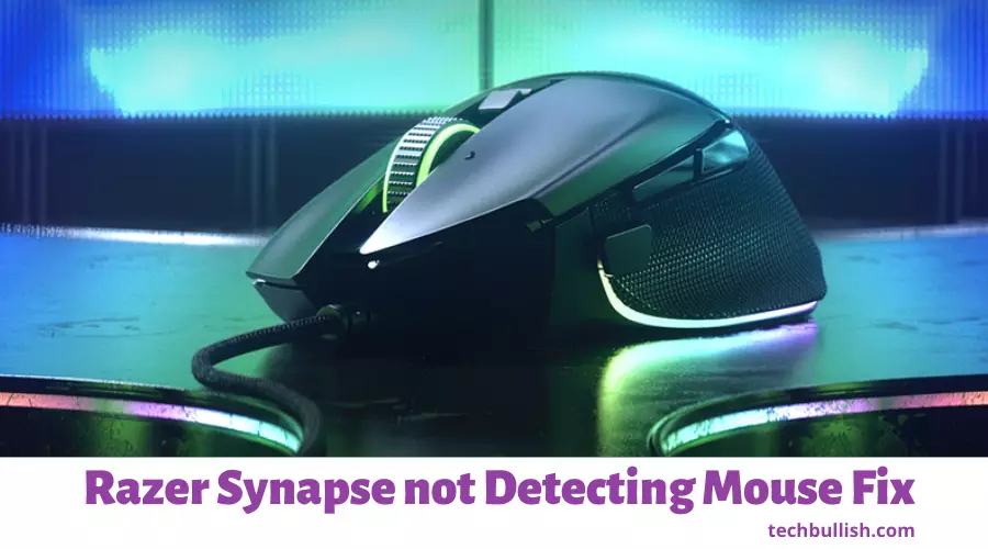 A Razer Branded Mouse