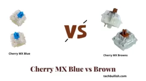 Cherry MX Brown Vs Blue