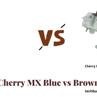 Cherry MX Brown Vs Blue