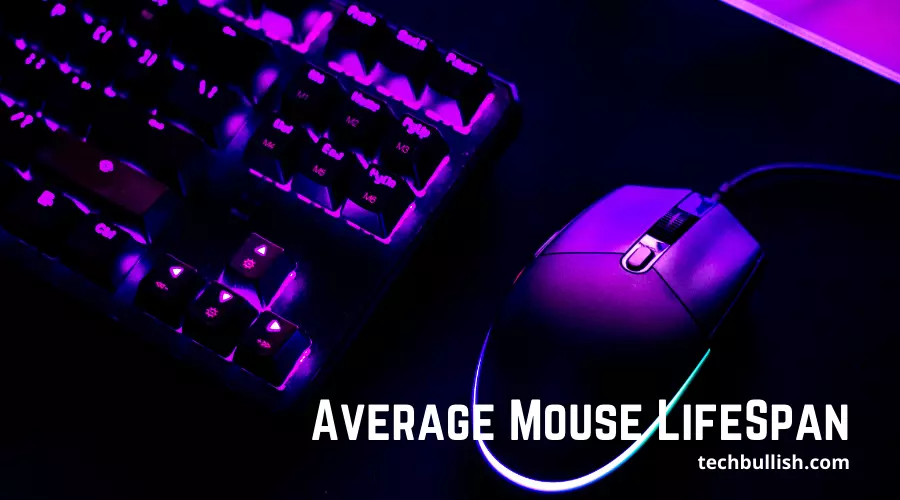 average mouse lifespan
