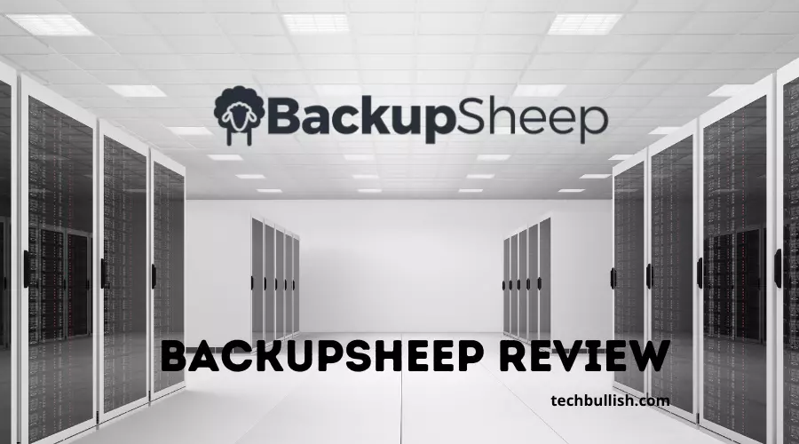 BackupSheep Review