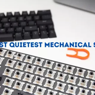 Quietest Mechanical Switches