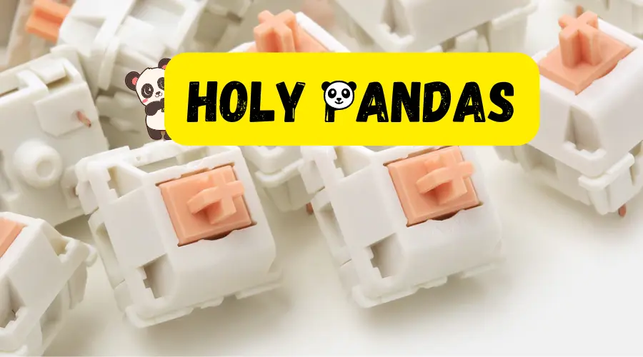 Holy Panda Switches Review