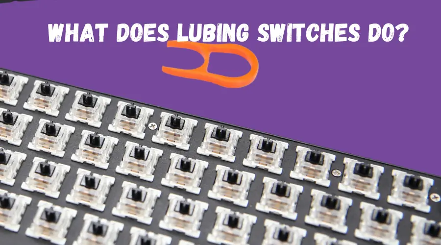 What Does Lubing Switches Do? (ANSWERED)