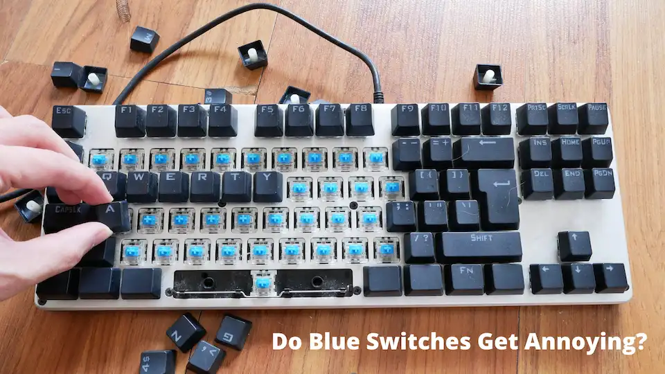 Do Blue Switches Get Annoying