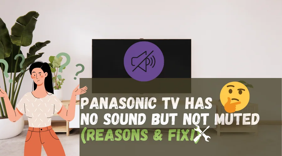 Panasonic Tv has No Sound But Not Muted
