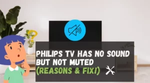 Philips TV has no Sound but Not Muted