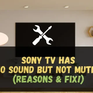 Sony TV has no Sound but is Not Muted