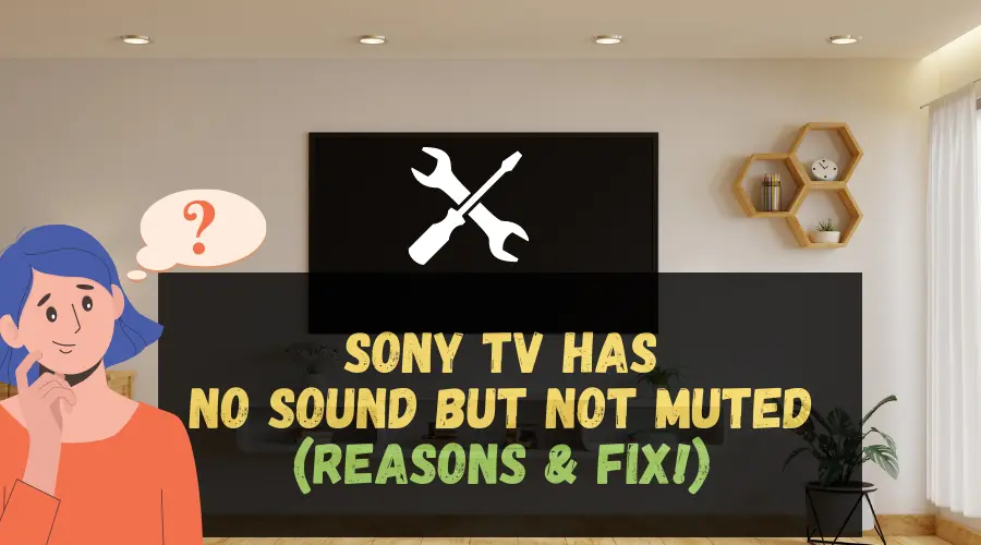 Sony TV has no Sound but is Not Muted