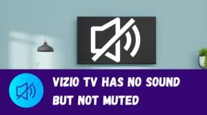 Vizio TV has no Sound but Not Muted