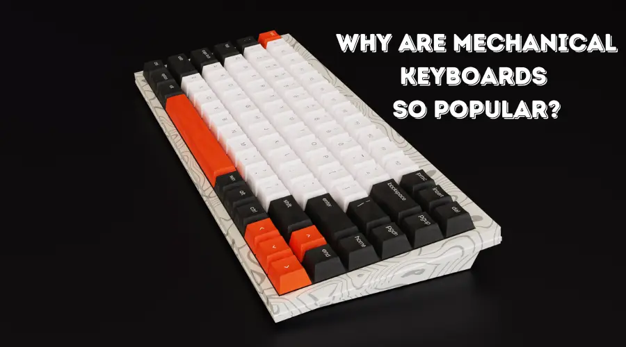 Why Are Mechanical Keyboards so popular