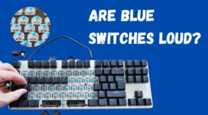 Are Blue Switches Loud