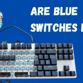 Are Blue Switches Loud