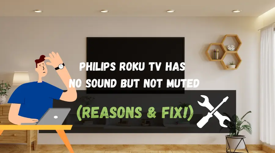 Philips roku Tv has No Sound But Not Muted