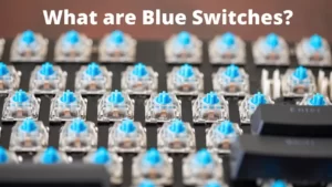 What are Blue Switches