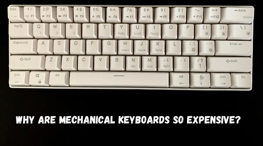 Why Are Mechanical Keyboards So Expensive