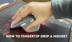 Fingertip Grip A Mouse