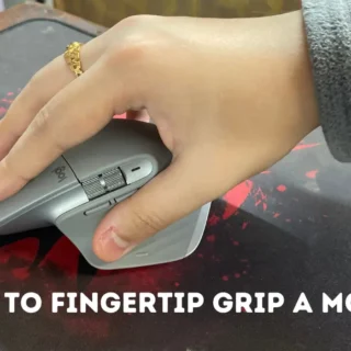 Fingertip Grip A Mouse
