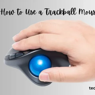 How to use a trackball mouse