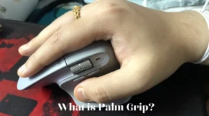 What is Palm Grip