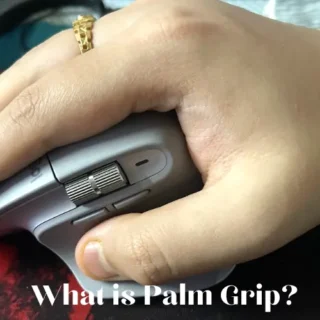 What is Palm Grip
