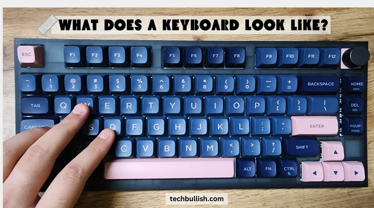 What does a Keyboard Look Like