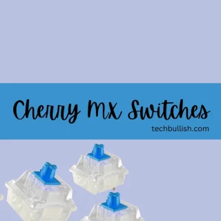 Cherry MX Switches