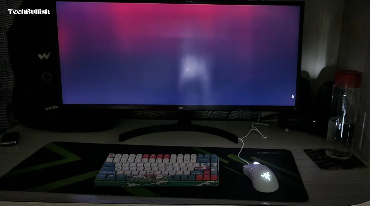 Backlight Bleed on My Monitor